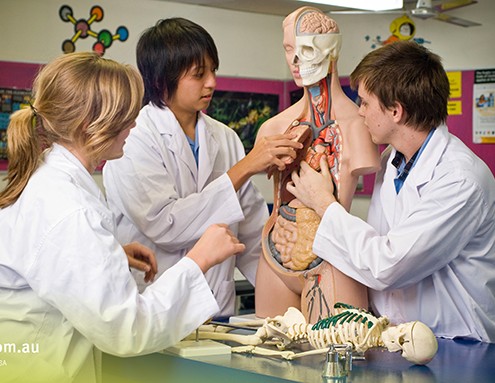 Robina SHS_11 Robina SHS: Biologieunterricht