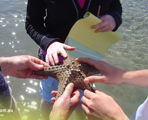 Rochedale SHS_05 Rochedale SHS: Meeresbiologie-Unterricht