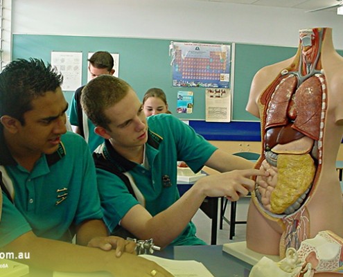 Sunnybank SHS_05 Sunnybank SHS: Biologieunterricht