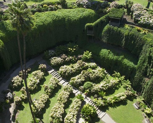 Mount Gambier - Umpherston Sinkhole Cave Mount Gambier - Umpherston Sinkhole Cave