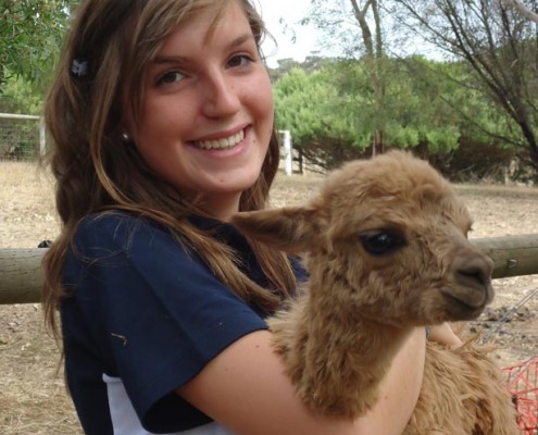 Victor Harbor HS: Farm Work Experience Victor Harbor HS: Farm Work Experience