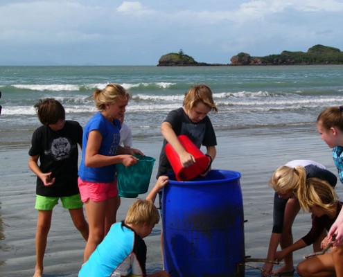 Mackay North SHS 2 Mackay North SHS 2