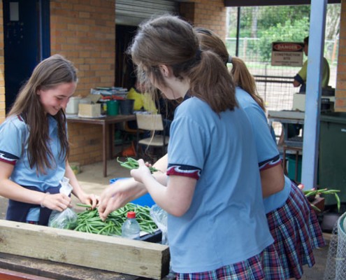 Kingscliff 4 Kingscliff 4