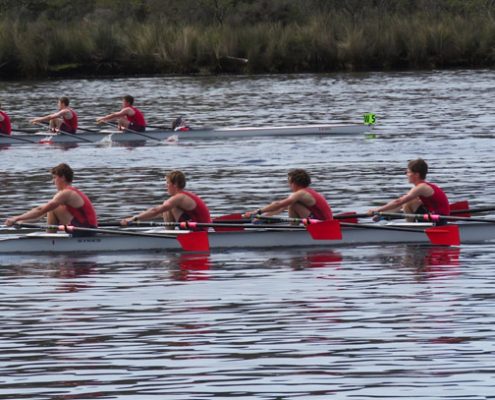 The Friends School' 5 The Friends School' 5