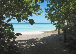 North-West Island North-West Island