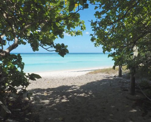 North-West Island North-West Island