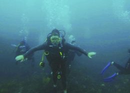 Scuba Diving Scuba Diving