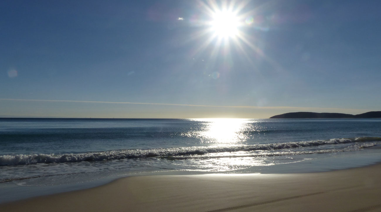 Felix Strand Felix Strand