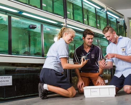 Palm Beach Currumbin SHS 6 Palm Beach Currumbin SHS 6