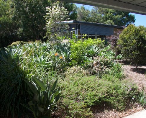 Meridan State College 6 Meridan State College 6