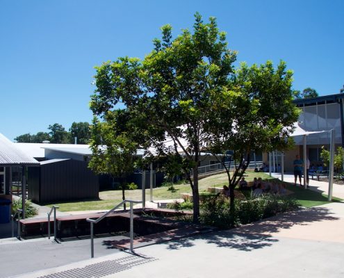 Meridan State College 24 Meridan State College 24