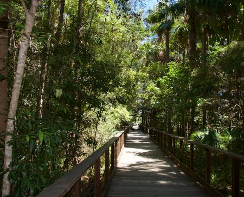 Meridan State College 27 Meridan State College 27