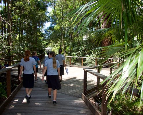 Meridan State College 28 Meridan State College 28