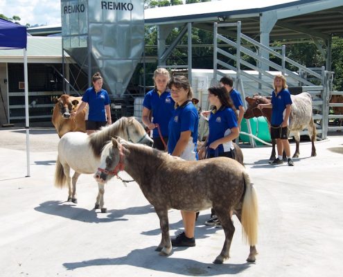 Nambour State College 17 Nambour State College 17