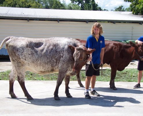 Nambour State College 19 Nambour State College 19