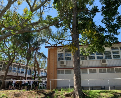 The Gap State High School 13