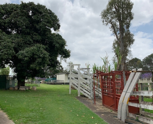 Corinda State High School 7 Corinda State High School 7