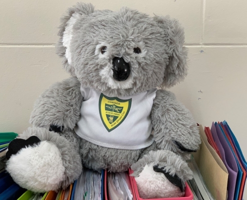 Corinda State High School 17 Corinda State High School 17