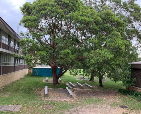 Endeavour Sports High School 14 Endeavour Sports High School 14