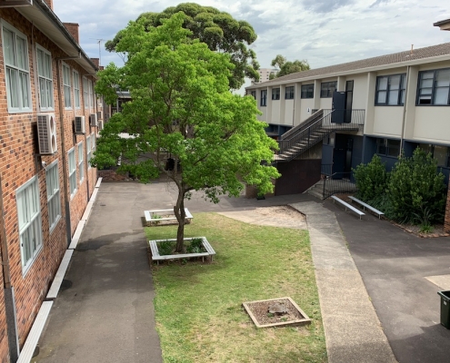 South Sydney High School 17 South Sydney High School 17