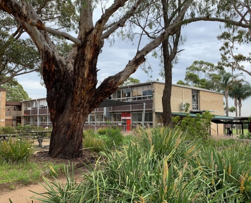 Endeavour Sports High School 4 Endeavour Sports High School 4