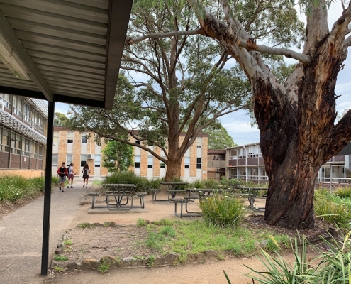 Endeavour Sports High School 5 Endeavour Sports High School 5