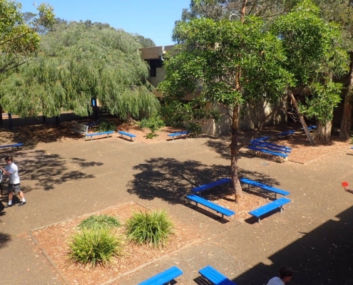 Narrabeen Sports High School 6 Narrabeen Sports High School 6