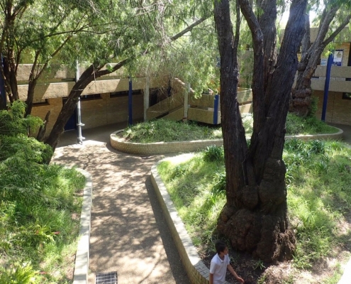 Narrabeen Sports High School 7 Narrabeen Sports High School 7