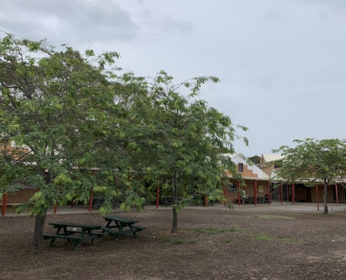 Menai High School 8 Menai High School 8