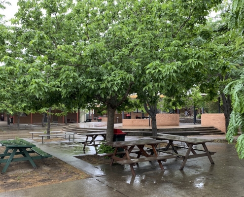 Menai High School 14 Menai High School 14