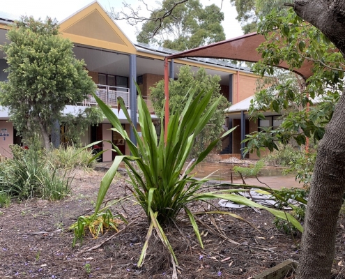 Menai High School 15 Menai High School 15