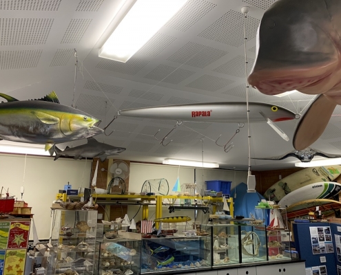 Menai High School 13 Menai High School 13