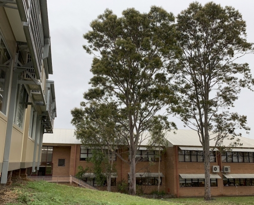 Menai High School 16 Menai High School 16