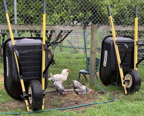 Menai High School 23 Menai High School 23