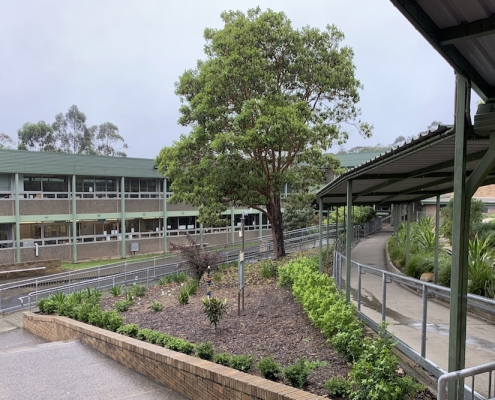 Engadine High School 15