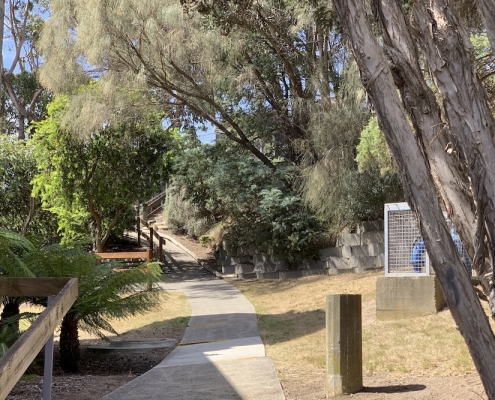 Don College 26 Don College 26