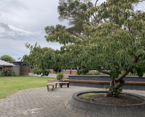 Prospect High School Tasmania 16 Prospect High School Tasmania 16