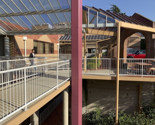 Launceston College 11 Launceston College 11