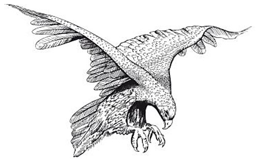 Prospect High School Tasmania Logo Prospect High School Tasmania Logo