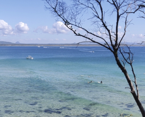 Noosa Beach