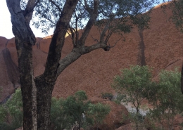Uluru Rimwalk Uluru Rimwalk
