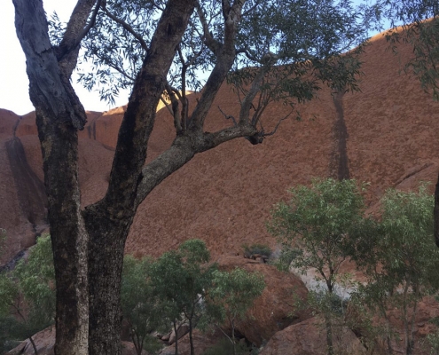 Uluru Rimwalk Uluru Rimwalk