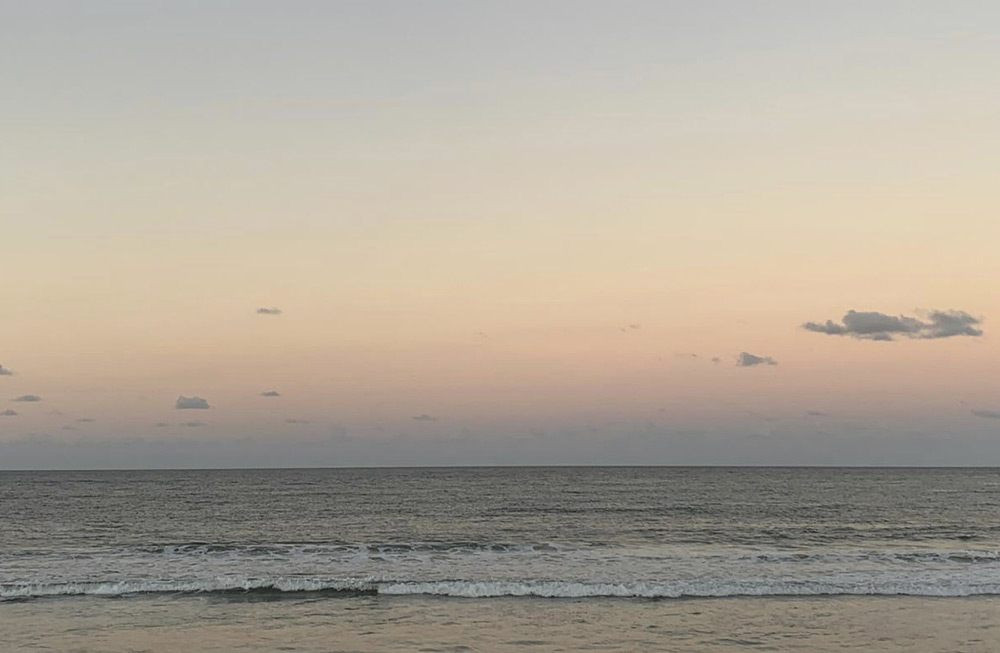 Leben an der Sunshine Coast 4