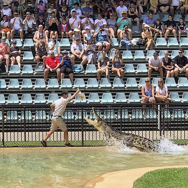 Leben an der Sunshine Coast 3