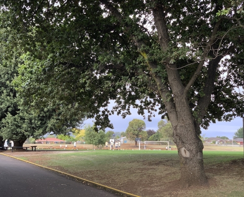 Devonport High School 24