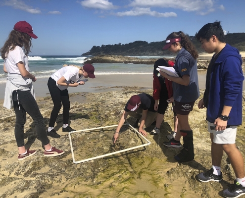 Cleveland District SHS 14 Cleveland District SHS 14