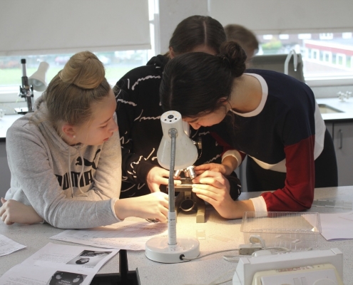 Collingwood College 1