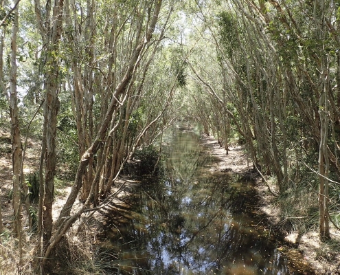 Kawana Waters State College 15