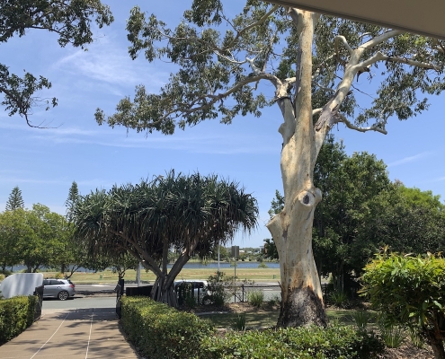 Kawana Waters State College 3