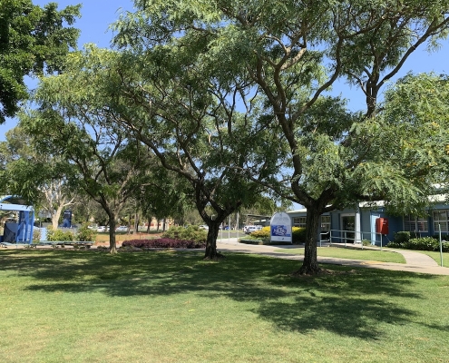 Mountain Creek SHS 2